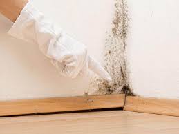 Best Commercial Mold Inspection  in Pleasant Hills, OH